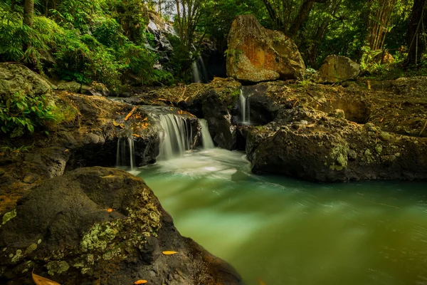 Paysage Tropical Rivière Dans Jungle Entourée Pierres Débit Eau Des — Photo