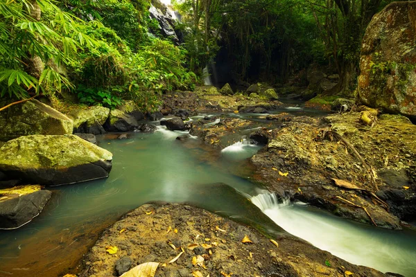 熱帯の風景 石に囲まれたジャングルの中の川 水の流れだ 緑の植物 焦点を合わせて 遅いシャッター速度 動きの写真 自然を背景に 水平配置 タバナンバリ — ストック写真