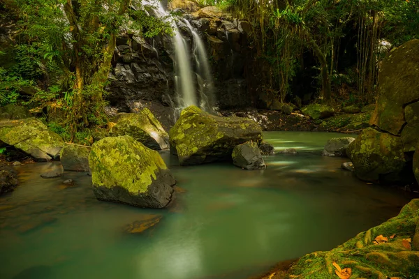 热带风景 热带雨林中美丽的隐藏瀑布 冒险和旅行的概念 自然背景 慢速快门速度 运动摄影 新加坡角瀑布 印度尼西亚巴厘 — 图库照片