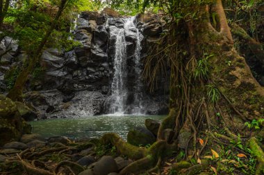 Tropik bir manzara. Yağmur ormanlarında saklı güzel bir şelale. Macera ve seyahat konsepti. Doğa geçmişi. Hızlı deklanşör hızı. Sing Sing Angin Şelalesi Bali, Endonezya