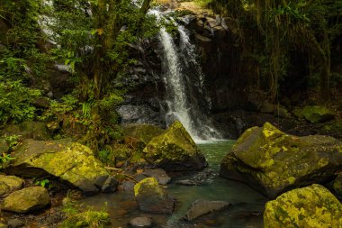 Tropik bir manzara. Yağmur ormanlarında saklı güzel bir şelale. Büyük taşlı ön plan. Macera konsepti. Doğa geçmişi. Hızlı deklanşör hızı. Sing Sing Angin şelalesi Bali