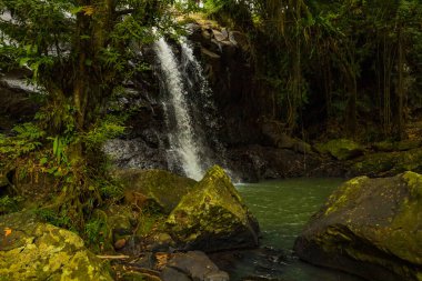 Tropik bir manzara. Yağmur ormanlarında saklı güzel bir şelale. Büyük taşlı ön plan. Macera konsepti. Doğa geçmişi. Hızlı deklanşör hızı. Sing Sing Angin Şelalesi, Bali, Endonezya