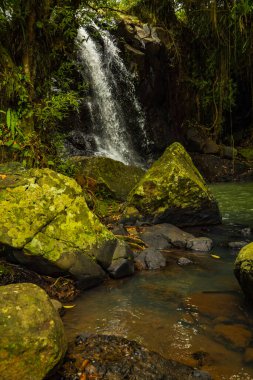 Tropik bir manzara. Yağmur ormanlarında saklı güzel bir şelale. Büyük taşlı ön plan. Macera konsepti. Doğa geçmişi. Hızlı deklanşör hızı. Sing Sing Angin Şelalesi, Bali, Endonezya