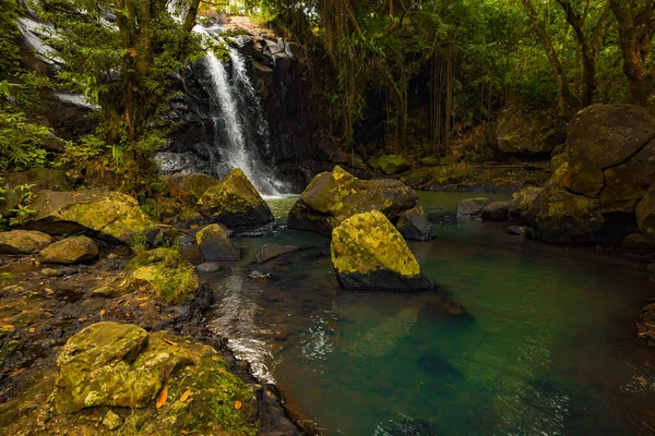 熱帯の風景 熱帯雨林の美しい隠された滝 大きな石で前景 冒険の概念 自然を背景に シャッタースピードが速い インドネシアのバリ アンギンの滝を歌う — ストック写真