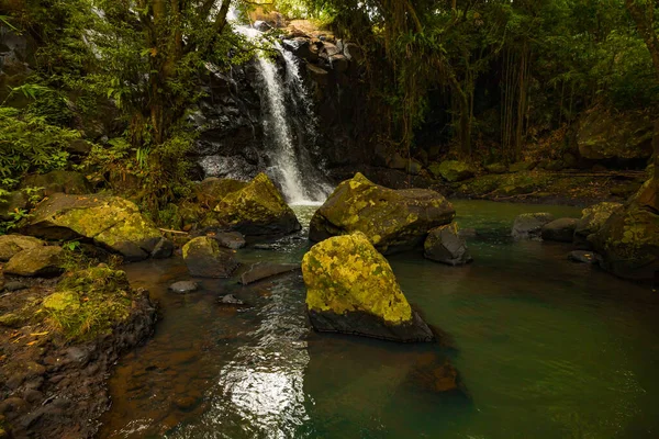 Paysage Tropical Belle Cascade Cachée Dans Forêt Tropicale Premier Plan — Photo
