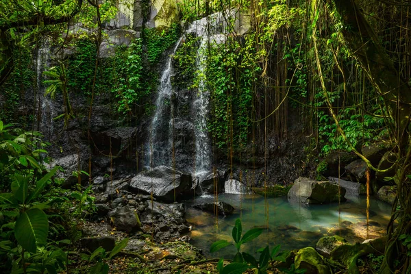 Тропічний Ландшафт Чудовий Прихований Водоспад Джунглях Концепція Пригод Подорожей Походження — стокове фото