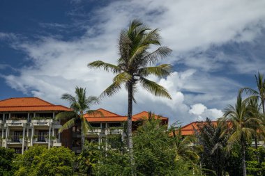 Güzel manzara. Palmiye ağaçları olan tropik bir bahçe. Kırmızı çatılı geleneksel Bali binası. Beyaz bulutlu mavi gökyüzü. Yatay yerleşim planı. Bali, Endonezya