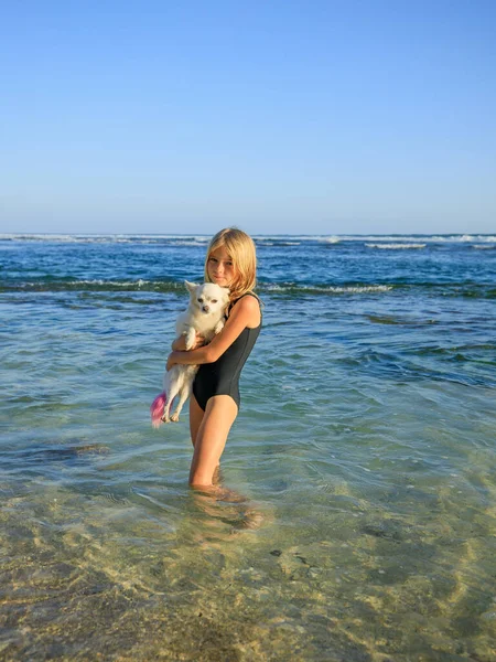 Kumsalda pembe kuyruklu küçük beyaz bir chihuahua köpeği tutan tatlı küçük bir kız. Çocukluk konsepti. Siyah mayo giyen sarı saçlı kız. Dışarıda vakit geçirmek. Dalgalar çekildiğinde okyanus. Bali