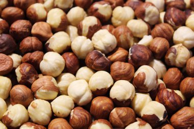 denemeye değer fındık