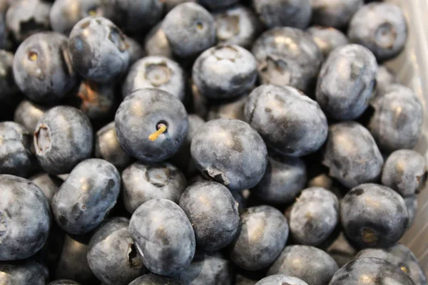 berry çok lezzetli bir meyve.