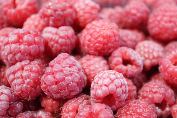 ahududu berry çok lezzetli bir meyve.