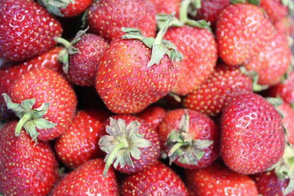 çilek en lezzetli berry