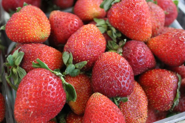 çilek en lezzetli berry