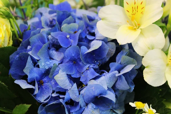 çok güzel ve mütevazı çiçekler