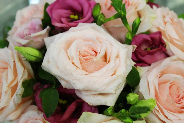 gül kızlar verecek en güzel çiçek