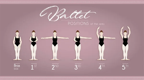 Ballet Posição Dos Braços — Vetor de Stock