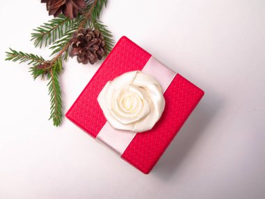 Beyaz koni ve kırmızı hediye kutusu olan bir Noel ağacı dalı.