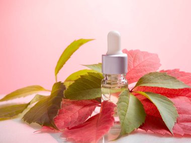 Pembe arka planda tropik yapraklı kehribar cam şişeler. Doğal organik kozmetik ambalajlama, vücut için lüks güzellik ürünleri