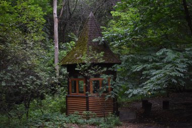 küçük ahşap kulübe tropik bir ormanda. gün ve gün ışığı