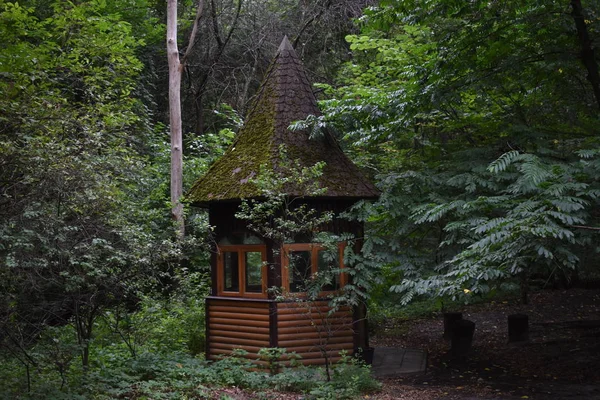 küçük ahşap kulübe tropik bir ormanda. gün ve gün ışığı