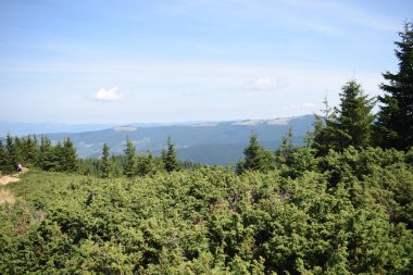 Hoverla Dağı'na tırmanırken görüntüleyin. Dağın, ormanların ve bulutların manzarası. Ukrayna Karpatları.