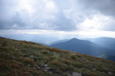 Hoverla Dağı'na tırmanırken görüntüleyin. Dağın, ormanların ve bulutların manzarası. Ukrayna Karpatları.