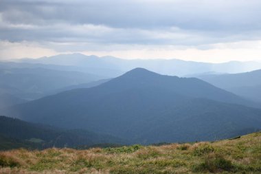 Hoverla Dağı'na tırmanırken görüntüleyin. Dağın, ormanların ve bulutların manzarası. Ukrayna Karpatları.