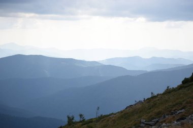 Hoverla Dağı'na tırmanırken görüntüleyin. Dağın, ormanların ve bulutların manzarası. Ukrayna Karpatları.