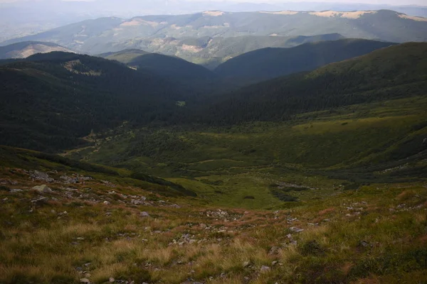 Vista mientras se sube al Monte Hoverla. Vista de la montaña, bosques y nubes. Cárpatos ucranianos . — Foto de Stock