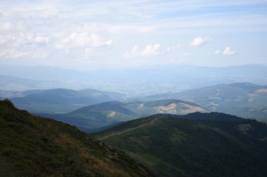 Hoverla Dağı'na tırmanırken görüntüleyin. Dağın, ormanların ve bulutların manzarası. Ukrayna Karpatları.