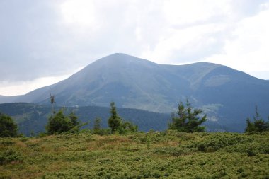 Hoverla Dağı'na tırmanırken görüntüleyin. Dağın, ormanların ve bulutların manzarası. Ukrayna Karpatları.