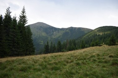 Hoverla Dağı'na tırmanırken görüntüleyin. Dağın, ormanların ve bulutların manzarası. Ukrayna Karpatları.