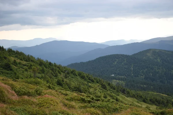 Vista mientras se sube al Monte Hoverla. Vista de la montaña, bosques y nubes. Cárpatos ucranianos . — Foto de Stock