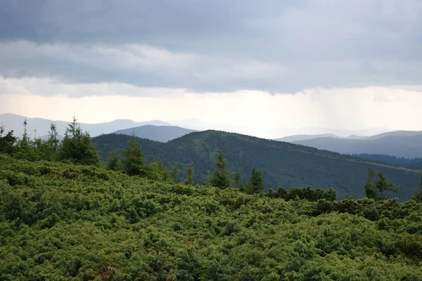 Vista mientras se sube al Monte Hoverla. Vista de la montaña, bosques y nubes. Cárpatos ucranianos . — Foto de Stock