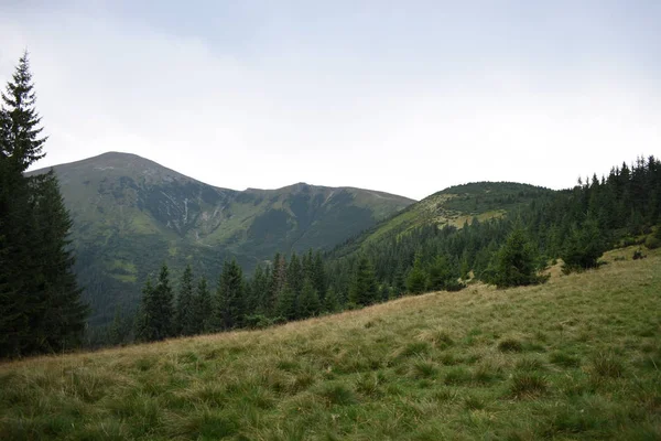 Vista mientras se sube al Monte Hoverla. Vista de la montaña, bosques y nubes. Cárpatos ucranianos . — Foto de Stock