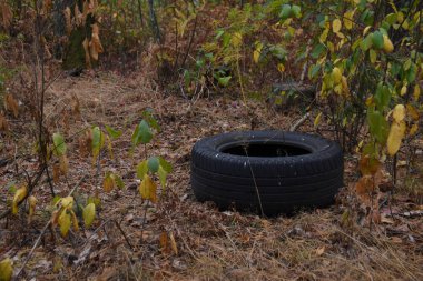 Orman çöpte. Yasadışı çöp orman atılmış insanlar. İnsan ve doğa kavramı. Doğada yasadışı çöplüğü. Kirli çevre yolu ormandaki hiking yakınındaki çöp kirletici. Çöp kutusu