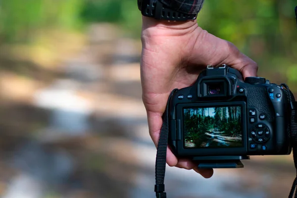 Fotograaf in het bos. Camera in de hand. Selectieve focus. Foto van het bos op het display van de camera — Stockfoto