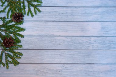Koyu mavi noel arkaplanı köknar dalları ile kayrak ya da taş zemin üzerinde. Kopya alanı ile üstten görünüm.