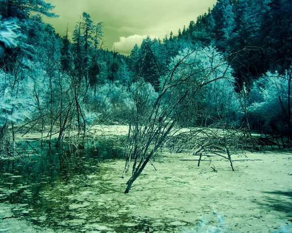 Kızılötesi renkli 760nm küçük bir bataklık shot uzaylı ama barışçıl. Yaprak döken ağaçların yaprakları beyazsı yeşil, su karanlık, bulutlar sarı beyazsı. Yüzen ördek otu sarı. Gerçek değil ama sakin. Siyah ve beyaz olabilir.