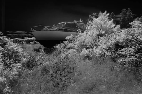 Kızılötesi siyah ve beyaz Shot, arazi kilitli kabin Kruvazör fırça ve otlar aracılığıyla sınırlayıcı gibi görünüyor. Yaprakları parlak beyaz ve beyaz gövde siyah yosun. Gökyüzü arka planda birkaç beyazsı bulutlar ile siyah.  