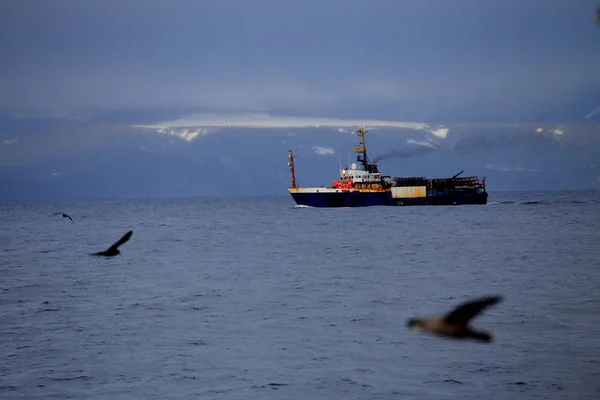 Crab fishing trawler in the Sea of Okhotsk, Kuril Islands