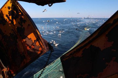 Okhotsk Denizi'nin kuzeyinde, Kuril Adaları yakınında balıkçılık trol