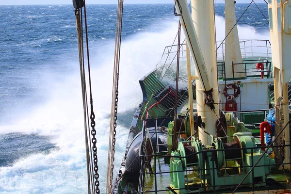 Navio Carga Com Peixes Caminho Mar Okhotsk — Fotografia de Stock