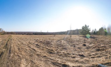 Oryol Polesie ormanları ve tarlaları panoraması