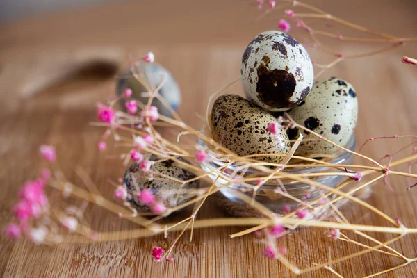 Huevos Codorniz Sobre Fondo Beige Claro Sobre Una Tabla Madera — Foto de Stock