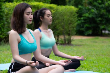 Genç Asyalı güzel kadınlar çimlerin üzerinde yoga yapıyorlar. Egzersiz ve açık hava.