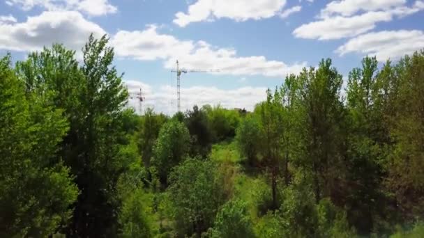 绿地和绿树之间的城市景观建筑 — 图库视频影像