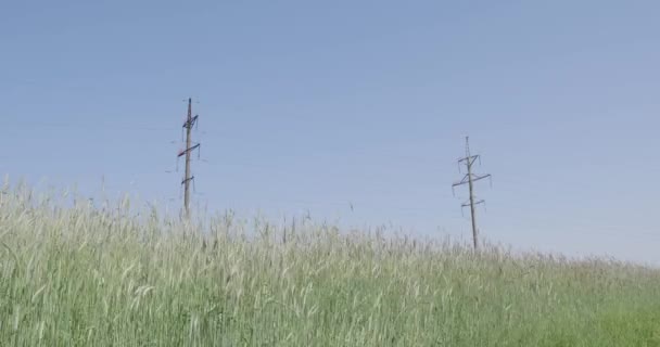 高压电力线 — 图库视频影像