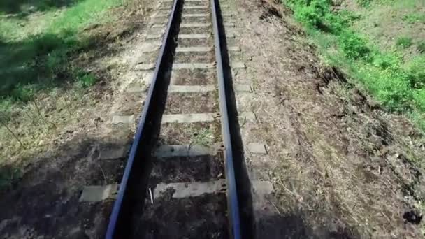 穿过森林的旧铁轨 — 图库视频影像