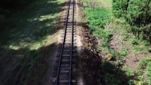 Viejas Vías Del Ferrocarril Través Del Bosque — Vídeo de stock